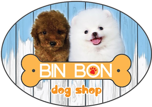 Shop bán đồ thú cưng đẹp TPHCM| Nguồn: Bin Bon Dog Shop