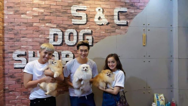 Mua bán chó cảnh uy tín tại Sài Gòn| Nguồn: SC Dog Shop